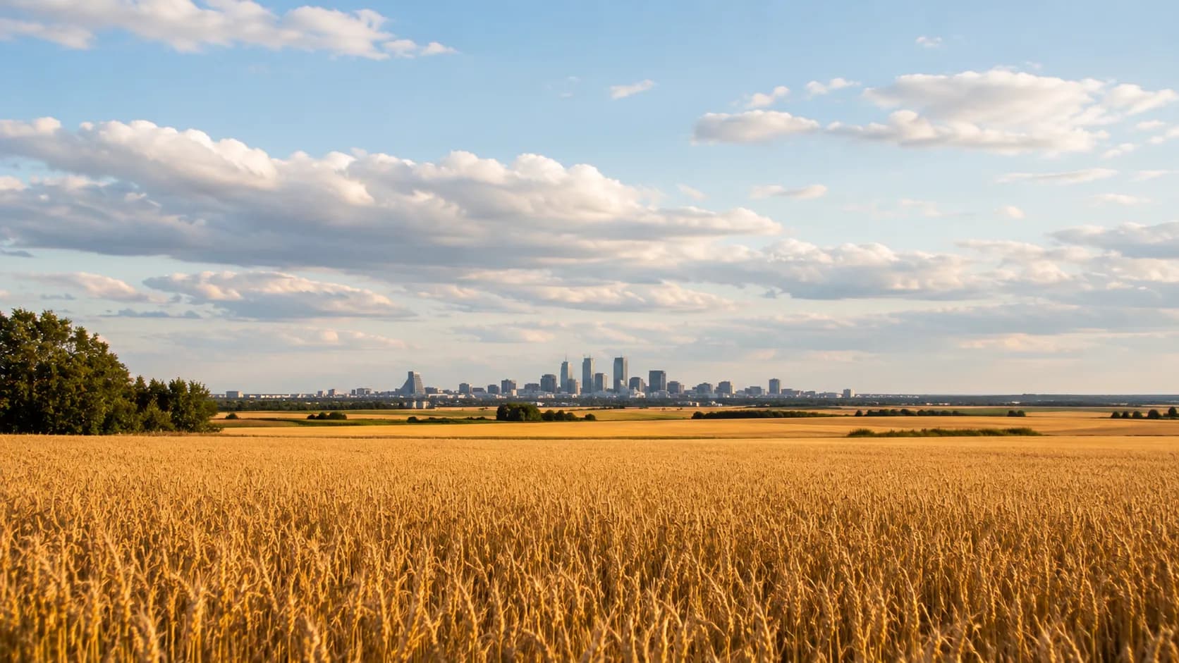 Manitoba's prairie wheat fields under a wide sky