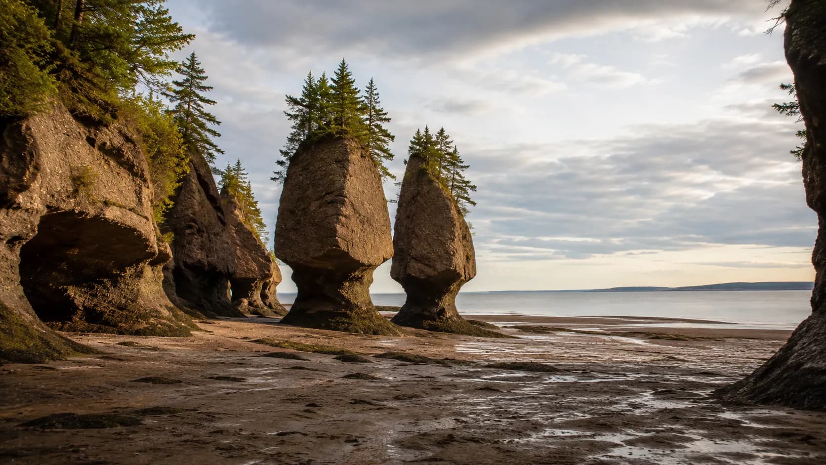The Hopewell Rocks in the Bay of Fundy, New Brunswick